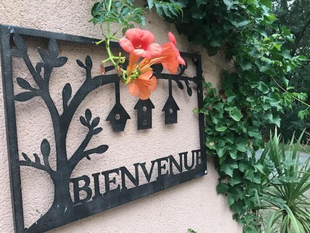 B&B Les Muscades Saint-Étienne-du-Grès Eksteriør billede